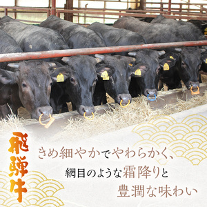 岐阜県海津市産 飛騨牛 モモ又は肩 すき焼き・しゃぶしゃぶ用500g お肉 牛肉 