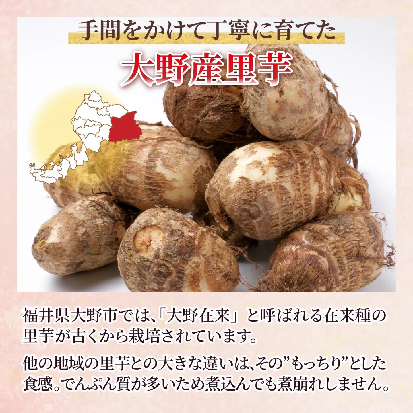 【先行予約】特別栽培 越前大野産 里芋 4.5kg【2027年1月～2月下旬まで発送】農家直送 さといも [A-008002]
