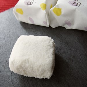 舞鶴銘菓 岸壁の母 16個 ： 京都 和菓子 餡子 あんこ あん 粒あん お茶菓子