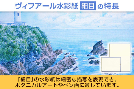 マルマン ヴィフアール 水彩紙 スケッチブック 細目 2種類 セット 合計10冊 雑貨 日用品 文房具 画用紙 ノート 国産 キャンバス イラスト 絵画 描写 筆記用具 画材 事務用品 ビジネスノート メモ帳 スクラップブッキング おすすめ 宮崎県 日南市 送料無料_FD10-25