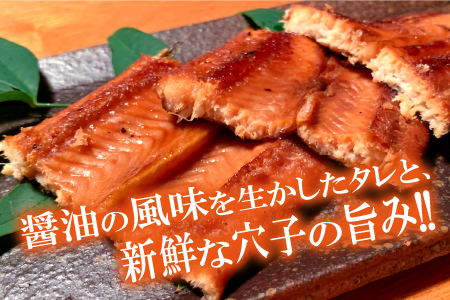 あなご 蒲焼 2枚 合計420g 天女の羽衣【合計420g 穴子蒲焼き 魚介類 魚 穴子 アナゴ 蒲焼き 仕込み醤油 タレ付き 山椒付き 新鮮 冷凍 真空パック 贈答 ギフト 父の日 母の日】