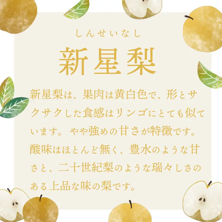 新星梨 約5kg 09月上旬発送  梨 先行受付