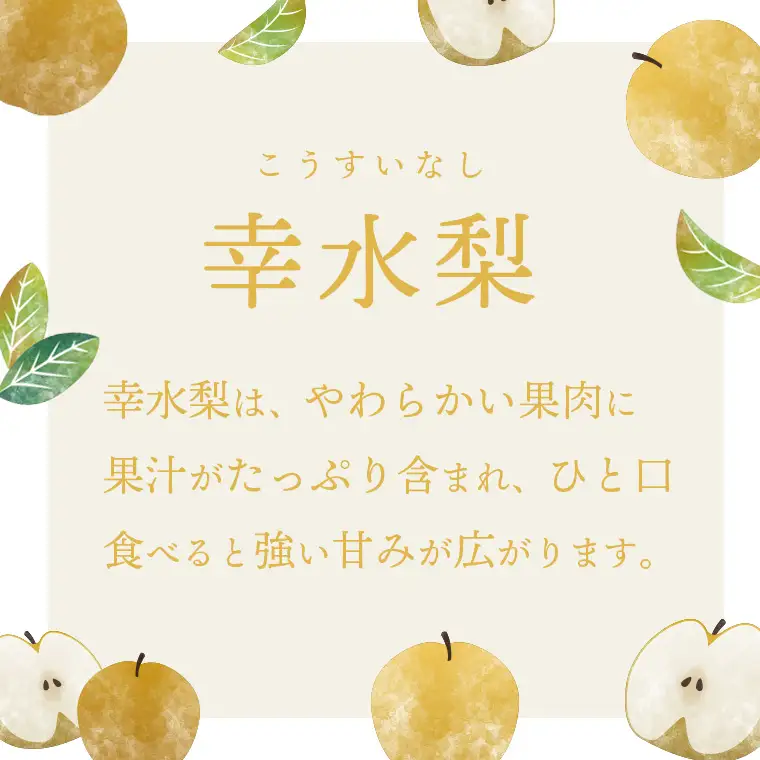 幸水梨 約5kg 08月上旬発送  梨 先行受付
