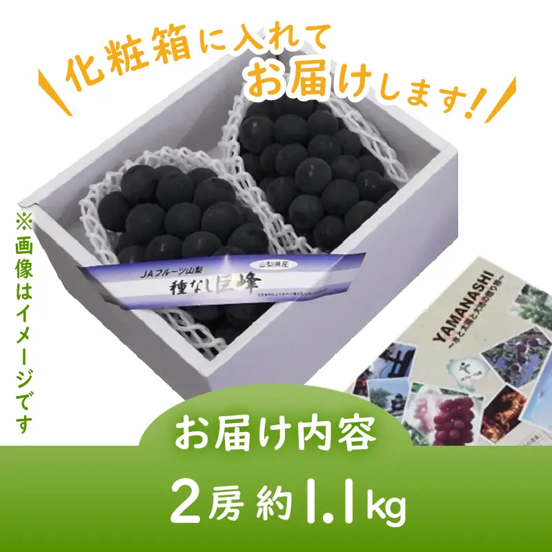 JAフルーツ山梨 甲州市産種なし巨峰2房【80】【2026年発送】B-104 巨峰 フルーツ