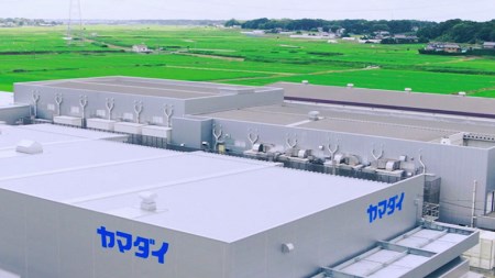 ヤマダイ　「手緒里うどん」・「手緒里紫峰そば」セット [AH001ya]