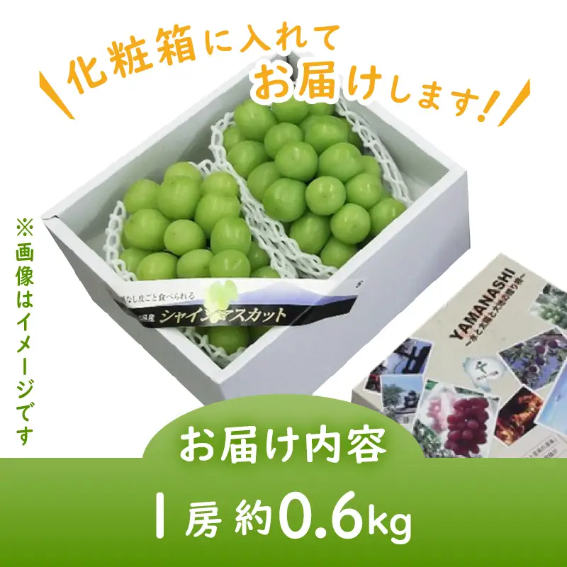 JAフルーツ山梨 甲州市産シャインマスカット 1房【60】【2026年発送】B-107 シャインマスカット フルーツ