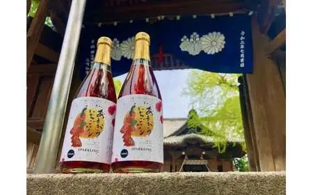 あまおういちごワインスパークリング　066-006