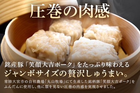 笑顔大吉ポーク 手づくり 冷凍 しゅうまい 1箱12個入 480g 3箱 計36個 1.44kg 焼売 豚 【シュウマイ】【ho0857】