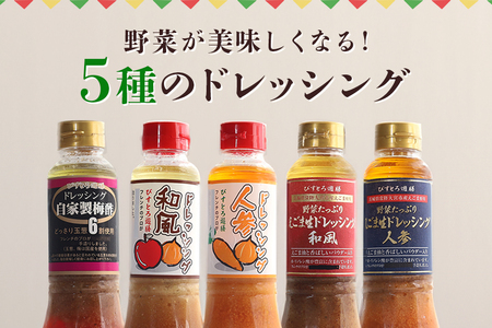 ドレッシング5本セット 詰め合わせ セット【ドレッシング】【ho0872】