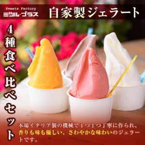 【I-8】＜先行予約受付中！2026年5月から順次発送予定＞自家製こだわり製法！バスクチーズケーキ(1個)・ジェラート(4個)詰め合せ【ミツル・プラス】