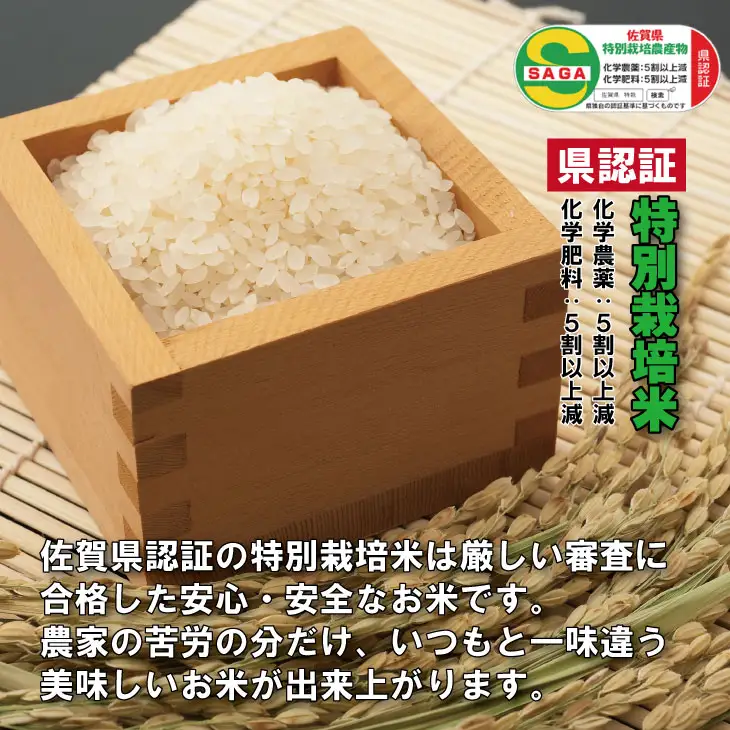令和7年度産  特別栽培米「さがびより」北川農産（5kg） 米 さがびより B160-025