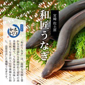 うなぎ 国産 うな丼の素 4袋 うなぎ[和匠 備長炭手焼き 400g]