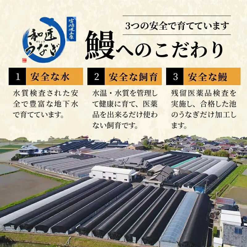 うなぎ 蒲焼 うなぎ[国産 きざみ 4パック 和匠 備長炭手焼き 400g]