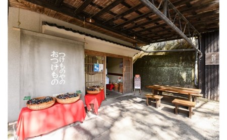 【黒川温泉発】阿蘇高菜の浅漬け（5個入） 阿蘇高菜 浅漬け 160g 5個 高菜 漬物 高菜漬け 高菜漬物 お取り寄せ ギフト 贈答用 黒川温泉 平野商店 九州 熊本 阿蘇 南小国町 送料無料
