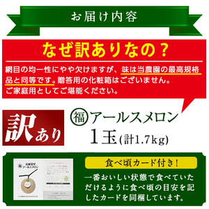 訳あり アールスメロン 1玉 (1.7kg) 家庭用 フルーツ 果物 果実 数量限定 期間限定 【マル福園芸組合】【0111109a】