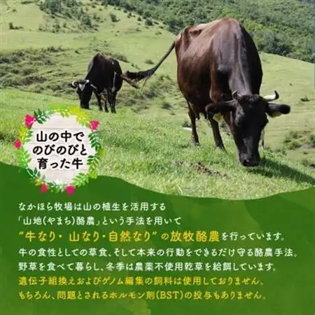 なかほら牧場 ふるさと納税セット_卵・乳製品 ヨーグルト    菓子・スイーツ プリン    卵・乳製品 バター    惣菜・加工品  缶詰・瓶詰 _【配送不可地域：離島】【1354920】