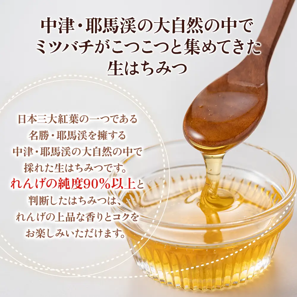 中津・耶馬渓のはちみつ れんげ 600g × 1瓶 時田養蜂場 | 国産 蜂蜜 はちみつ ハチミツ レンゲ 蓮華 瓶 大分県産 九州産 大分県 中津市