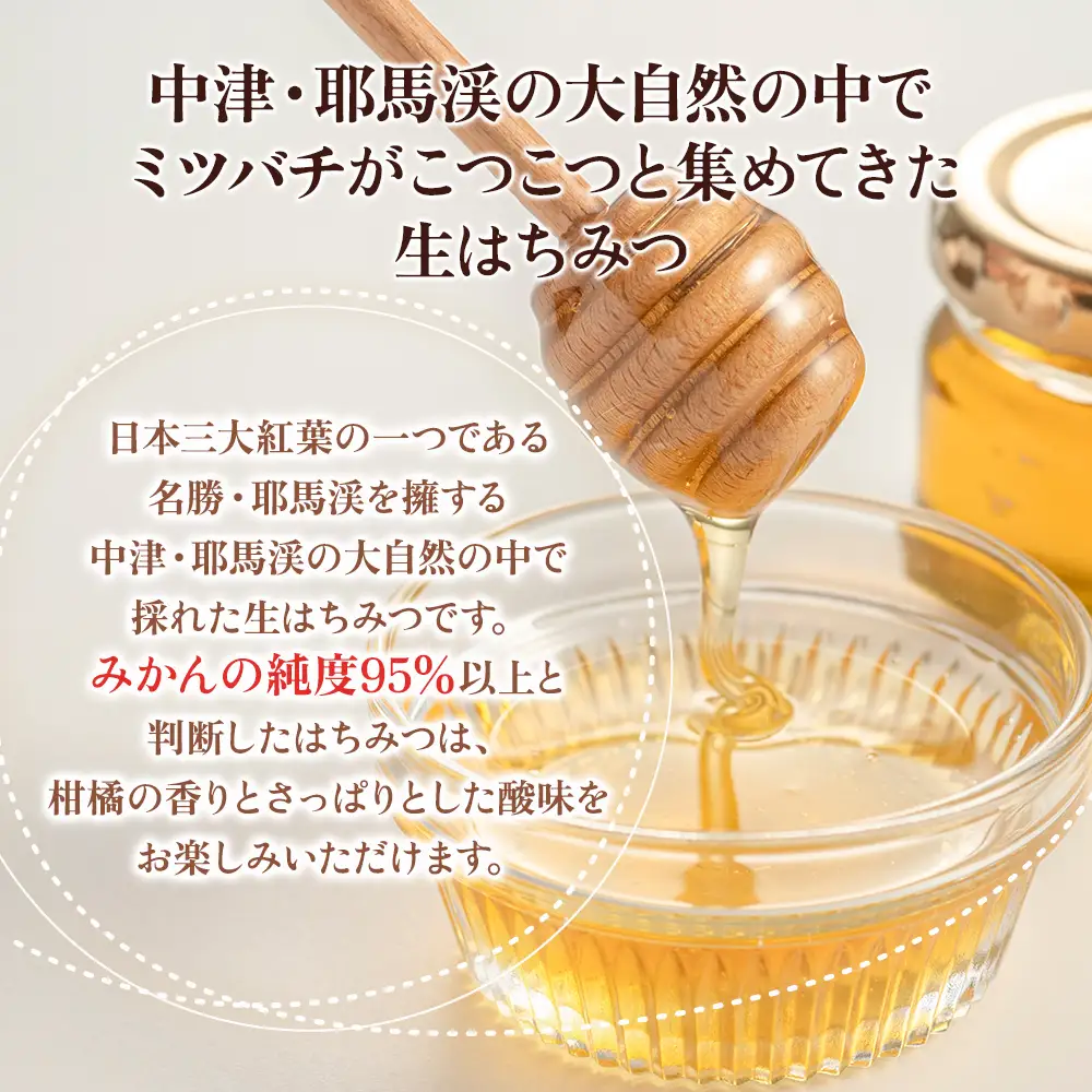 中津・耶馬渓のはちみつ みかん 600g × 1瓶 | 時田養蜂場 国産 蜂蜜 はちみつ ハチミツ みかん 蜜柑 ミカン 瓶 大分県産 九州産 大分県 中津市