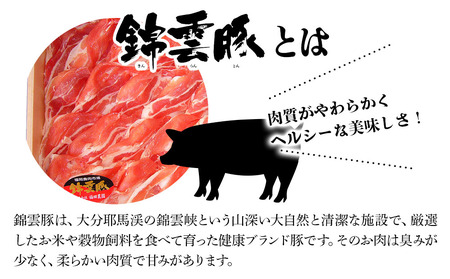 お米育ちの錦雲豚 ご自宅用 合計2.3kg セット | ロース バラ肉 肩ロース もも うで ミンチ ブランド豚 九州産 大分県産 国産 冷凍 送料無料