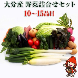 【JA直売所直送】春夏秋冬野菜セット | 野菜 やさい ヤサイ セット 旬 産地直送 大分県産 10～15品 国産野菜 大分県 中津市