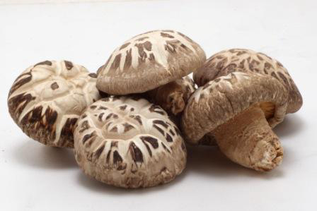 乾燥椎茸 高級品 花どんこ380g | 乾しいたけ 干し椎茸 原木椎茸 干しシイタケ 干ししいたけ 大分県産 産地直送 九州産 中津市 国産 送料無料