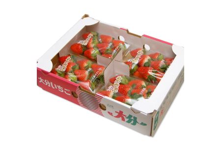 【先行予約】大分県産いちご さがほのか 約 800g ( 200g×4パック ) | 苺 イチゴ いちご ベリー フルーツ 果物 くだもの 九州産 大分県産 国産 産地直送 大分県 中津市