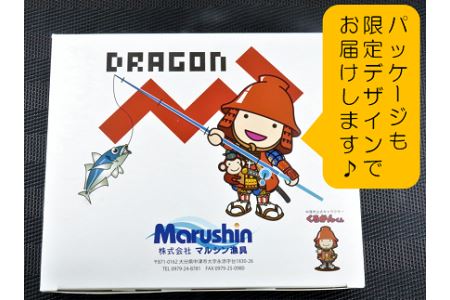 【Dragonシリーズ】中津市限定スペシャルジグセット 40g×5個 限定カラー 数量限定 | Dragon 中津市限定 限定 ジグ ジグセット スペシャルジグセット ルアー 大分県 中津市