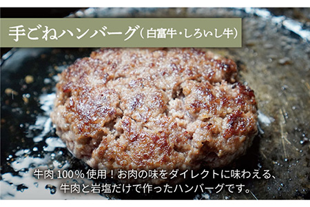 【12回定期便】ハンバーグ＆ロールステーキ定期便 / ハンバーグ [IAH050]