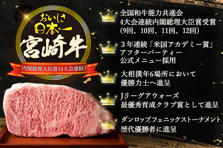 牛肉 【定期便 6回】受賞歴多数!! ≪宮崎牛≫月に一度のお楽しみ定期便【総重量4.75Kg】【ステーキ・焼肉・すき焼き・しゃぶしゃぶ】 牛肉 定期便 MT-51