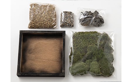 苔箱庭制作キット FZ21-465