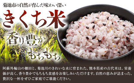きくち古代米・もち麦 セットA【ファームきくち】 四穀 八穀 500g×1パック もち麦 200g×1パック セット 有限会社七城町特産品センター《90日以内に出荷予定(土日祝除く)》熊本県 菊池市 雑穀米 お米 米 もち麦 菊池市産 熊本県産 九州産
