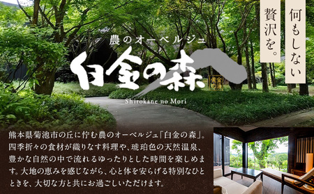 白金温泉 黄金の湯 入浴券 10枚 株式会社白金の森《30日以内に出荷予定(土日祝除く)》熊本県 菊池市 チケット 温泉 天然温泉 旅行 送料無料