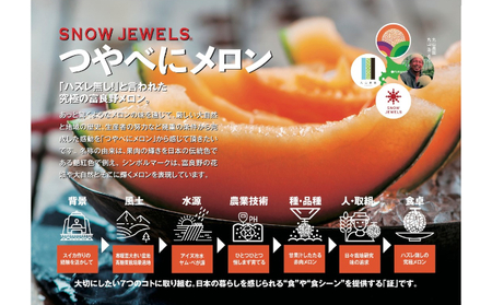 【 2026年6～8月発送】 先行受付 北海道 富良野産 赤肉 つやべに メロン 2玉 箱 4kg以上 大玉 (ふらの 丸山農園) メロン フルーツ 果物 新鮮 甘い 贈り物 ギフト 道産 ジューシー おやつ ふらの ブランド 夏 