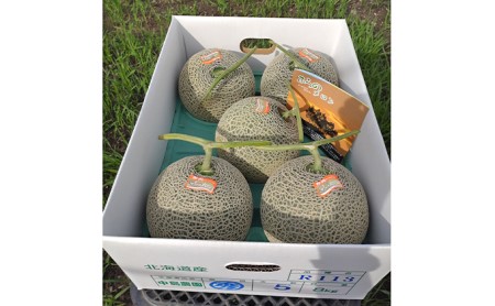 【2026年7月～発送】北海道 富良野市 ふらの赤肉 メロン 4～5玉入り 計 約8kg (中島農園) メロン フルーツ 果物 新鮮 甘い 贈り物 ギフト 道産 ジューシー おやつ ふらの ブランド 夏 