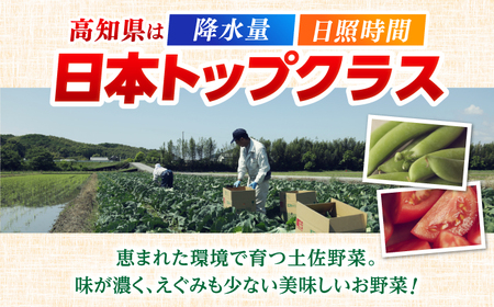 土佐の太陽をいっぱいに浴びた旬の野菜生姜約100gのセット「小」【土佐野菜】 [ATBA003]スピード 最短 最速 発送 春 春野菜 旬野菜 野菜詰め合わせ