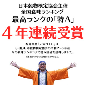 令和7年産　普通精米　福岡県産元気つくし 10kg 〔Gr031〕