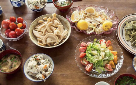 定期便 土佐の太陽をいっぱいに浴びた旬の野菜セット小 (12回配送) / 野菜 やさい 定期便 12回 セット 詰め合わせ 朝採れ 新鮮 旬 無農薬 レシピ 冷蔵 高知 土佐 【土佐野菜】 [ATBA007]