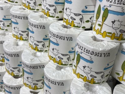 0010-63-01　富士山SDGs　100％リサイクル　トイレットペーパー（ダブル）75ロール【思いやり型返礼品】 