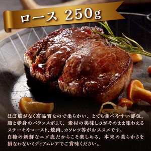 高タンパク・低カロリー・低脂肪 えぞシカ肉セット (ブロック肉) 250g/400g_I010-0800