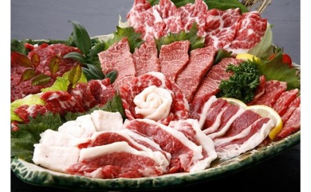 【国産】大豪華特選馬刺し 黄金桜6種盛り 国産 馬刺し 豪華 6種 1350g 霜降り オビ 赤身 ヒモ タテガミ フタエゴ 霜降り セット 詰め合わせ 馬肉 馬 生食用 肉刺し 贈答用 ギフト お中元 お歳暮 JSファーム 熊本 阿蘇 南小国 南小国町 送料無料