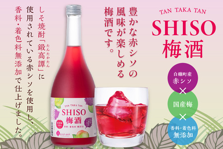 鍛高譚（たんたかたん）の梅酒[720ml]【4本セット】_I012-0034