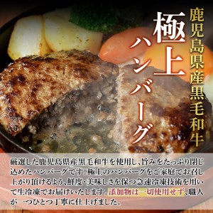 ハンバーグ ハンバーグセット 小分け 黒毛和牛 200g×5パック 【AKR Food Company】 a750