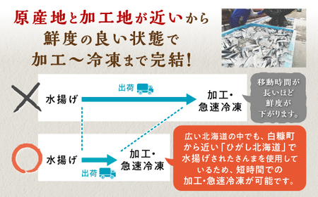 北海道産さんま蒲焼【30枚入り】_K013-0250