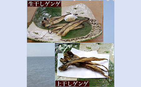 【富山湾深海魚】ゲンゲの干物 2種セット（上干し・生干し　各2袋）ハマオカ海の幸 ※北海道、沖縄、離島配送不可