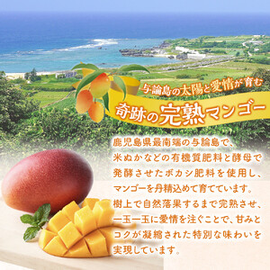 【数量限定】鹿児島 与論島アップルマンゴー特A秀品大玉２個約１キロ 化粧箱入り【先行予約】| マンゴー