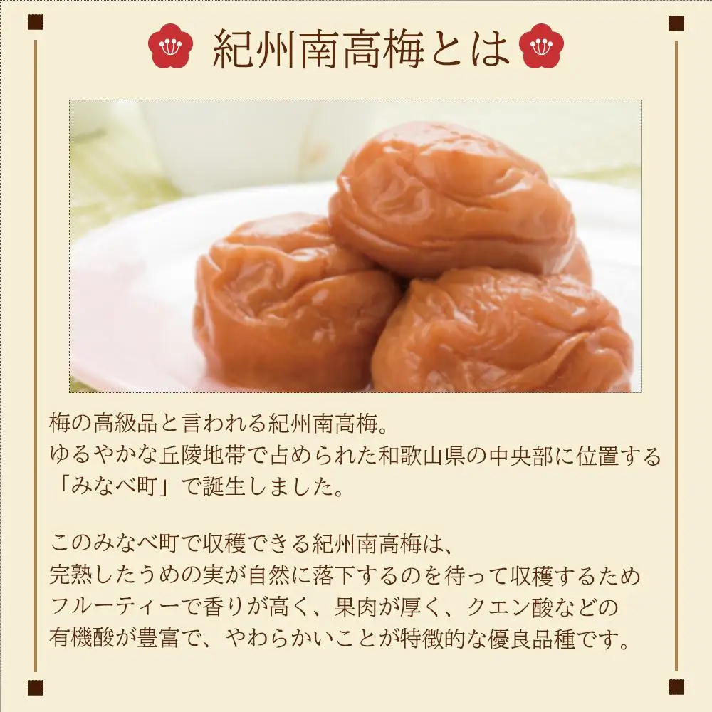 紀州五代梅の心　10粒　1箱（みなべ町）