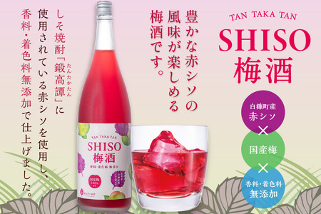 鍛高譚（たんたかたん）の梅酒[1800ml]【6本セット】_I042-0044