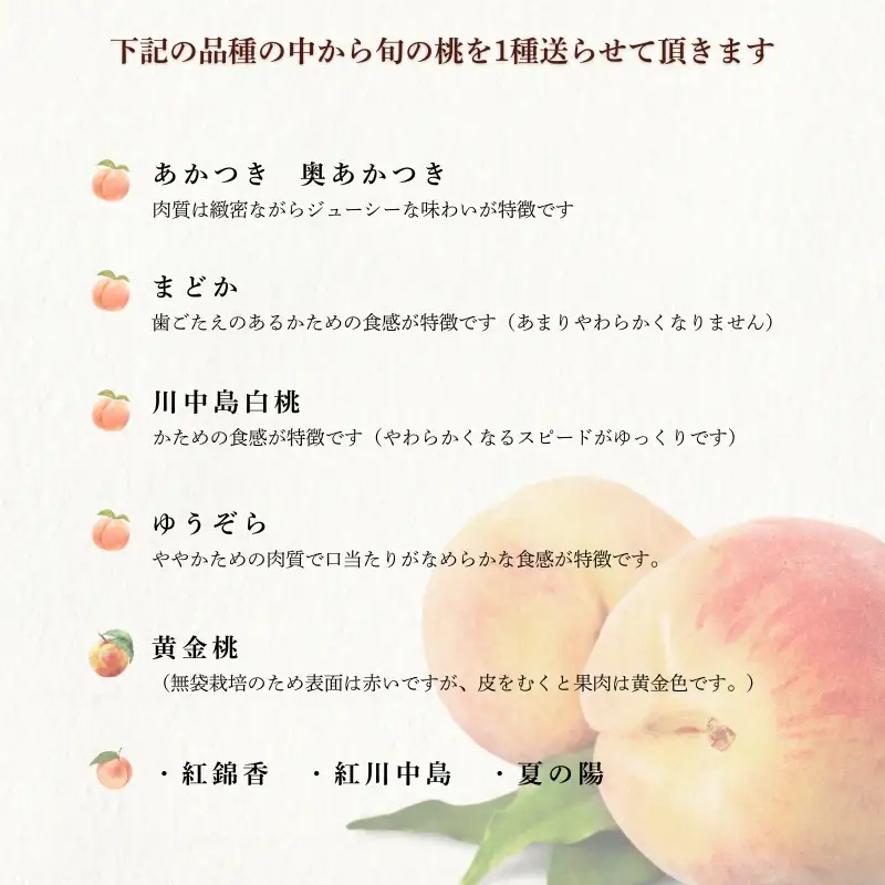 No.1762もも　8月収穫の桃　品種お任せ　約5kg【2026年発送】