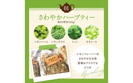 ハーブ農園のナチュラルハーブティーセット 3種 ハーブティー ハーブ農園 農薬不使用 紅茶 オーガニック 飲み比べ アソート 詰め合わせ セット 安眠 睡眠 ギフト 贈答用 あっぷるみんと 熊本 阿蘇 南小国町 送料無料