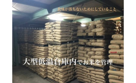 【令和7年産】西尾のお米【翔米】10kg(あいちのかおり)・K220-29